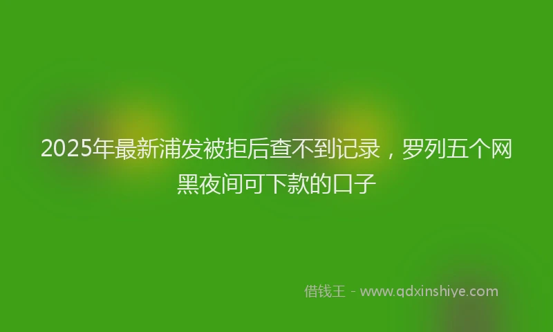 2025年最新浦发被拒后查不到记录，罗列五个网黑夜间可下款的口子