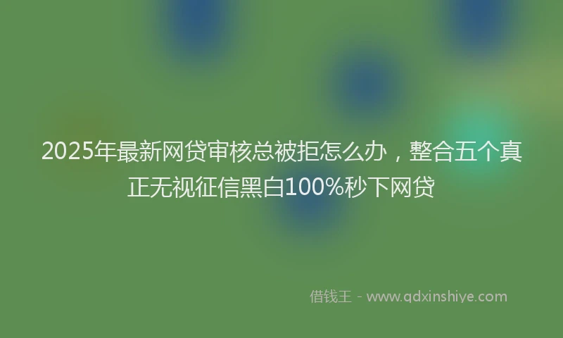2025年最新网贷审核总被拒怎么办，整合五个真正无视征信黑白100%秒下网贷