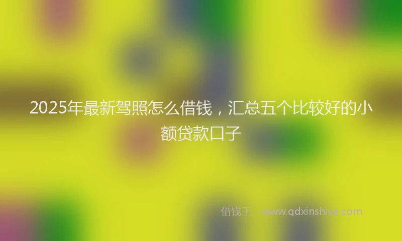 2025年最新驾照怎么借钱，汇总五个比较好的小额贷款口子