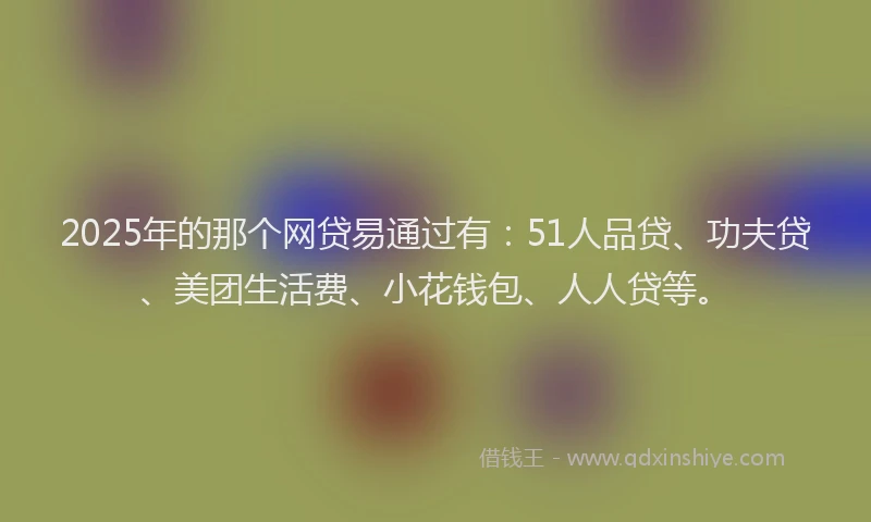 2025年的那个网贷易通过有：51人品贷、功夫贷、美团生活费、小花钱包、人人贷等。