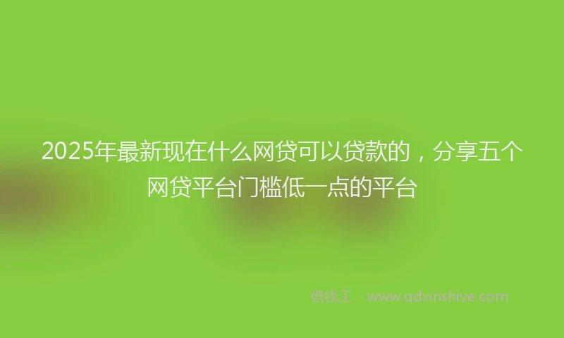 2025年最新现在什么网贷可以贷款的，分享五个网贷平台门槛低一点的平台