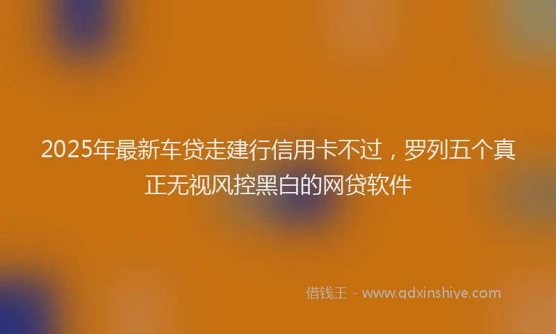 2025年最新车贷走建行信用卡不过，罗列五个真正无视风控黑白的网贷软件