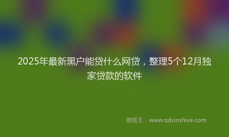 2025年最新黑户能贷什么网贷，整理5个12月独家贷款的软件