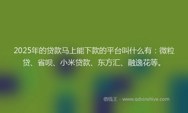 2025年的贷款马上能下款的平台叫什么有：微粒贷、省呗、小米贷款、东方汇、融逸花等。
