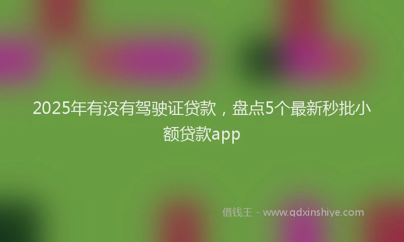 2025年有没有驾驶证贷款，盘点5个最新秒批小额贷款app