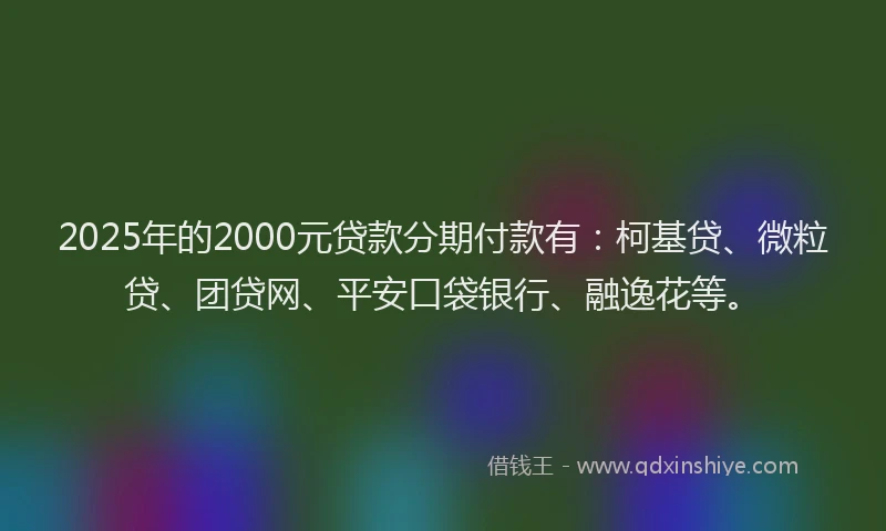 2025年的2000元贷款分期付款有：柯基贷、微粒贷、团贷网、平安口袋银行、融逸花等。