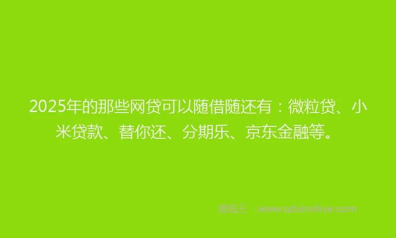 2025年的那些网贷可以随借随还有：微粒贷、小米贷款、替你还、分期乐、京东金融等。