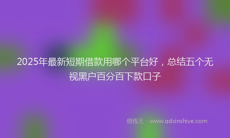 2025年最新短期借款用哪个平台好，总结五个无视黑户百分百下款口子
