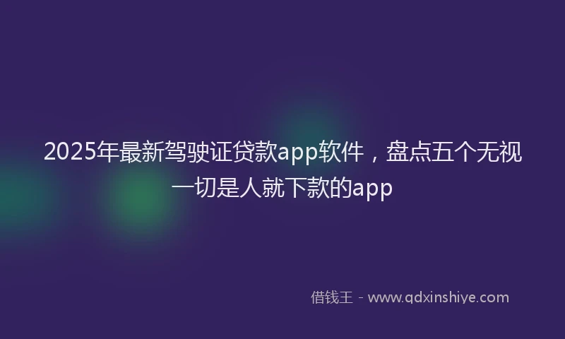 2025年最新驾驶证贷款app软件，盘点五个无视一切是人就下款的app