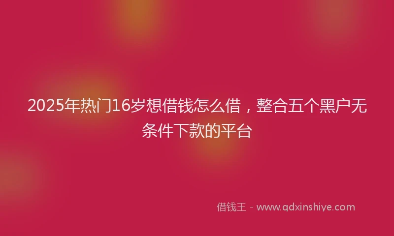 2025年热门16岁想借钱怎么借，整合五个黑户无条件下款的平台
