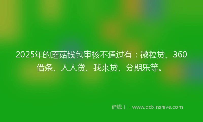 2025年的蘑菇钱包审核不通过有：微粒贷、360借条、人人贷、我来贷、分期乐等。