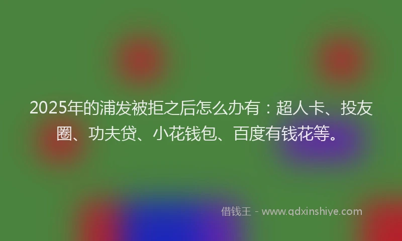 2025年的浦发被拒之后怎么办有：超人卡、投友圈、功夫贷、小花钱包、百度有钱花等。