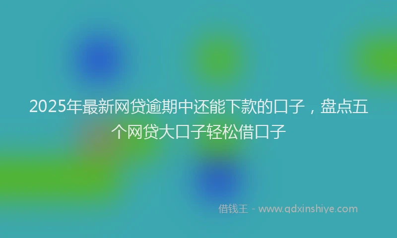 2025年最新网贷逾期中还能下款的口子，盘点五个网贷大口子轻松借口子