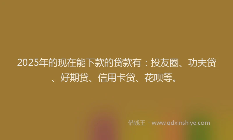2025年的现在能下款的贷款有：投友圈、功夫贷、好期贷、信用卡贷、花呗等。