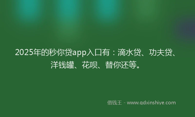 2025年的秒你贷app入口有：滴水贷、功夫贷、洋钱罐、花呗、替你还等。