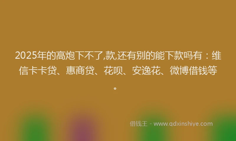 2025年的高炮下不了,款,还有别的能下款吗有：维信卡卡贷、惠商贷、花呗、安逸花、微博借钱等。