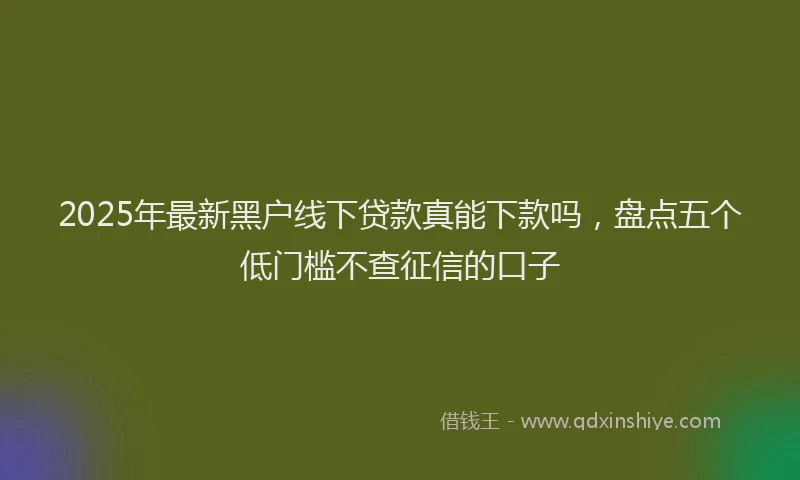 2025年最新黑户线下贷款真能下款吗，盘点五个低门槛不查征信的口子