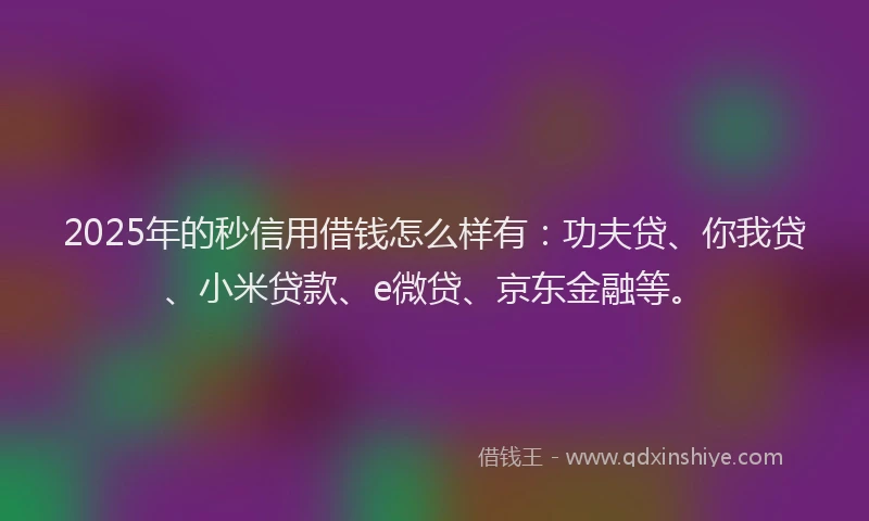2025年的秒信用借钱怎么样有：功夫贷、你我贷、小米贷款、e微贷、京东金融等。
