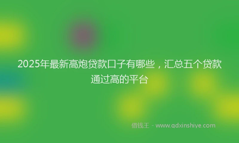 2025年最新高炮贷款口子有哪些，汇总五个贷款通过高的平台