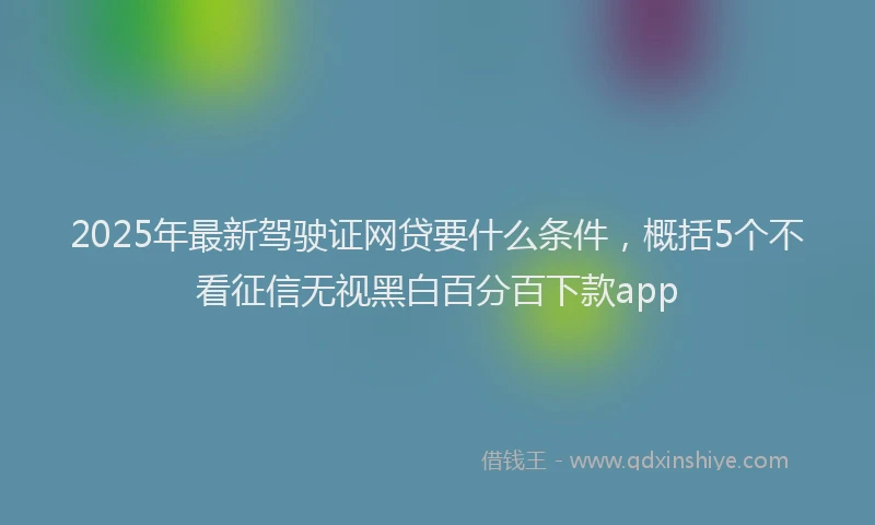 2025年最新驾驶证网贷要什么条件，概括5个不看征信无视黑白百分百下款app