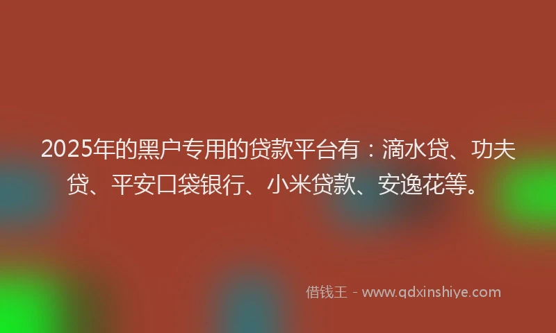 2025年的黑户专用的贷款平台有：滴水贷、功夫贷、平安口袋银行、小米贷款、安逸花等。