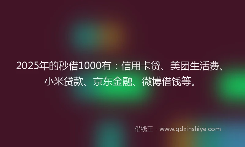 2025年的秒借1000有：信用卡贷、美团生活费、小米贷款、京东金融、微博借钱等。
