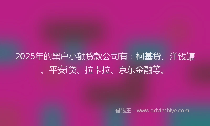 2025年的黑户小额贷款公司有：柯基贷、洋钱罐、平安i贷、拉卡拉、京东金融等。