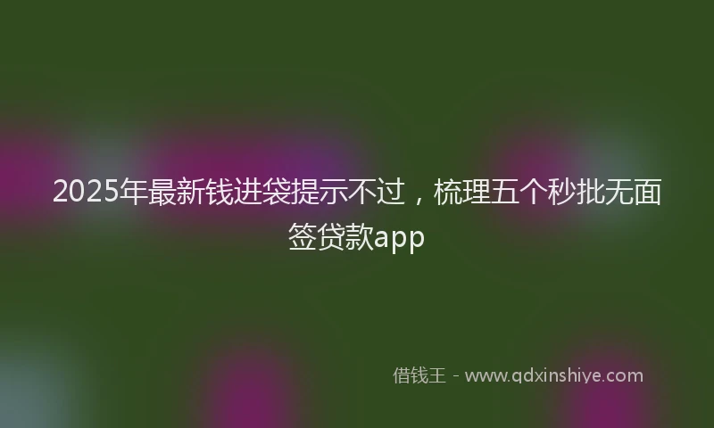 2025年最新钱进袋提示不过，梳理五个秒批无面签贷款app