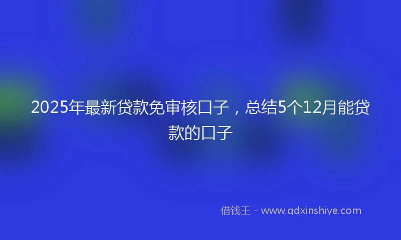 2025年最新贷款免审核口子，总结5个12月能贷款的口子