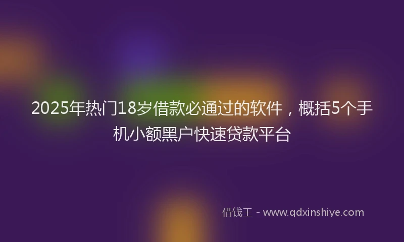 2025年热门18岁借款必通过的软件，概括5个手机小额黑户快速贷款平台
