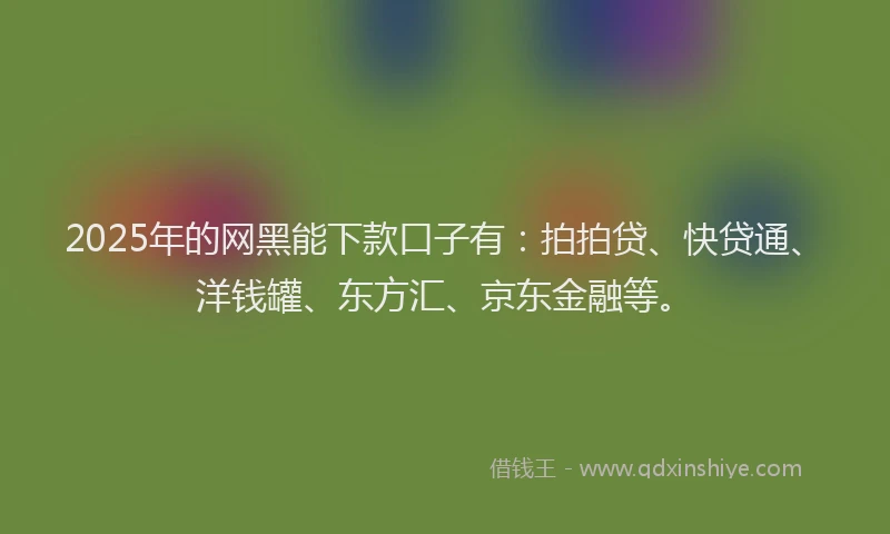 2025年的网黑能下款口子有：拍拍贷、快贷通、洋钱罐、东方汇、京东金融等。