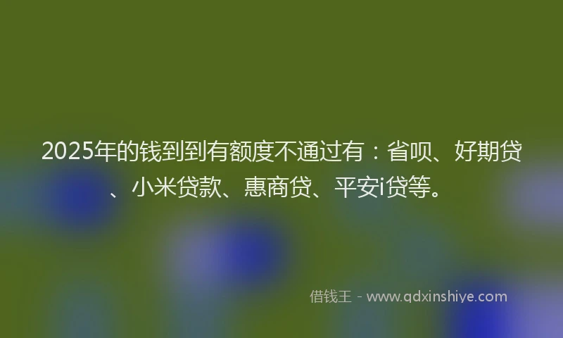 2025年的钱到到有额度不通过有：省呗、好期贷、小米贷款、惠商贷、平安i贷等。