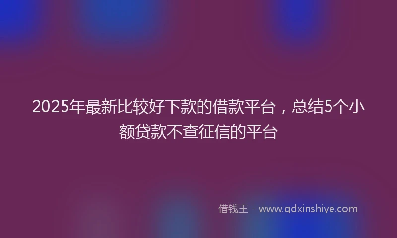 2025年最新比较好下款的借款平台，总结5个小额贷款不查征信的平台