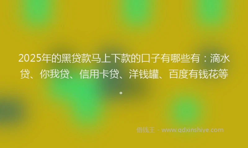 2025年的黑贷款马上下款的口子有哪些有：滴水贷、你我贷、信用卡贷、洋钱罐、百度有钱花等。