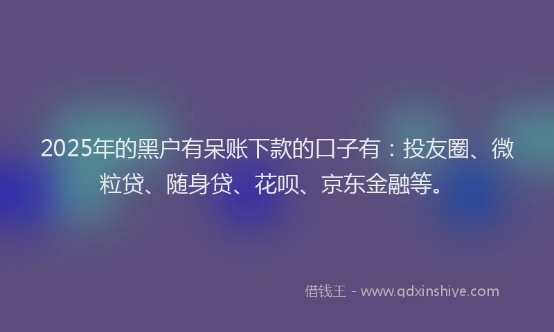 2025年的黑户有呆账下款的口子有：投友圈、微粒贷、随身贷、花呗、京东金融等。