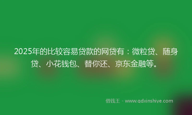 2025年的比较容易贷款的网贷有：微粒贷、随身贷、小花钱包、替你还、京东金融等。