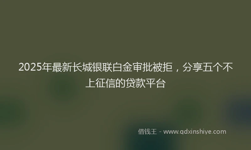 2025年最新长城银联白金审批被拒，分享五个不上征信的贷款平台