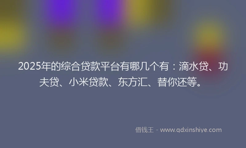 2025年的综合贷款平台有哪几个有：滴水贷、功夫贷、小米贷款、东方汇、替你还等。