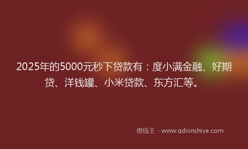 2025年的5000元秒下贷款有：度小满金融、好期贷、洋钱罐、小米贷款、东方汇等。