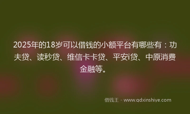 2025年的18岁可以借钱的小额平台有哪些有：功夫贷、读秒贷、维信卡卡贷、平安i贷、中原消费金融等。