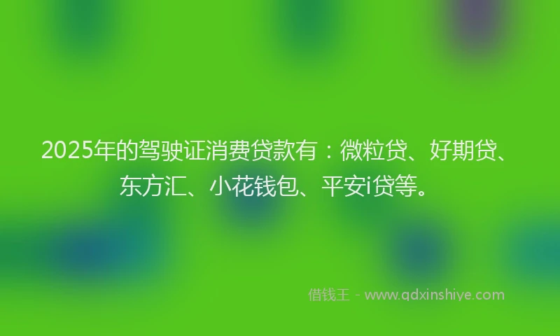2025年的驾驶证消费贷款有：微粒贷、好期贷、东方汇、小花钱包、平安i贷等。