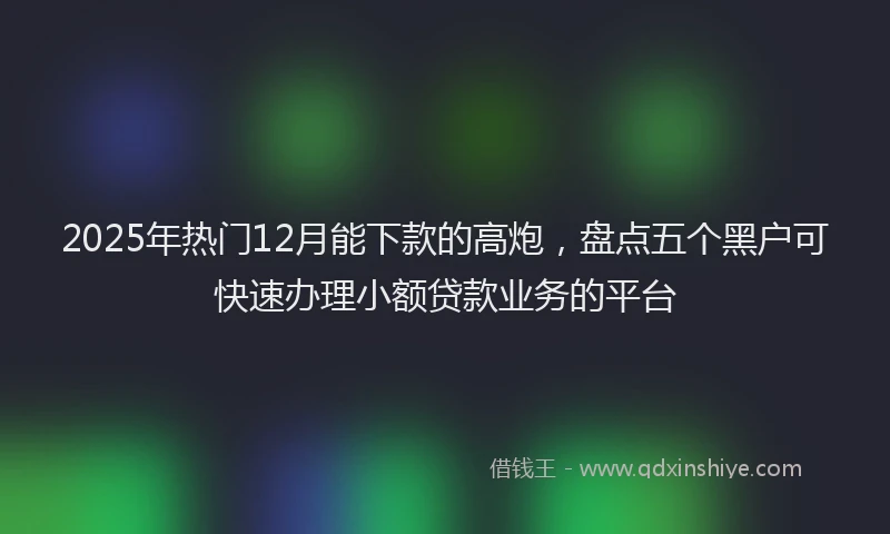 2025年热门12月能下款的高炮，盘点五个黑户可快速办理小额贷款业务的平台