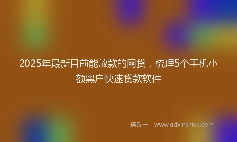 2025年最新目前能放款的网贷，梳理5个手机小额黑户快速贷款软件