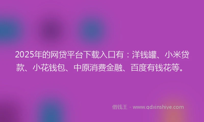 2025年的网贷平台下载入口有：洋钱罐、小米贷款、小花钱包、中原消费金融、百度有钱花等。