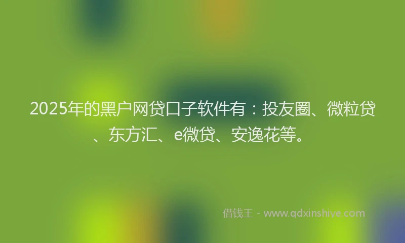 2025年的黑户网贷口子软件有：投友圈、微粒贷、东方汇、e微贷、安逸花等。