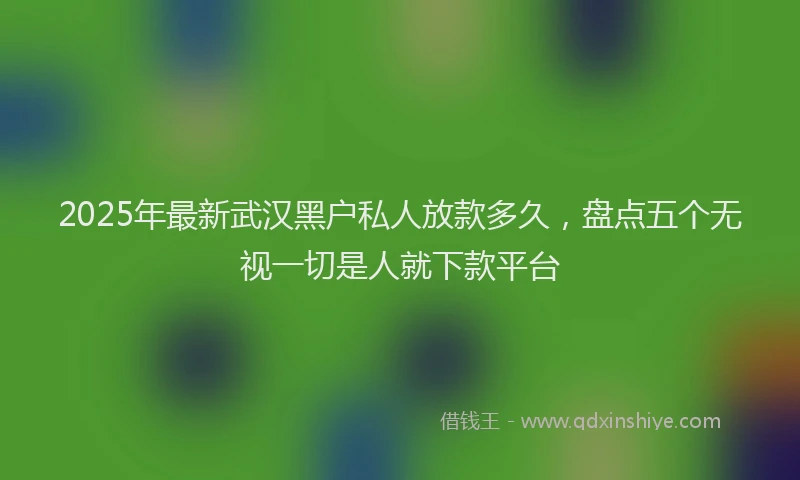 2025年最新武汉黑户私人放款多久，盘点五个无视一切是人就下款平台