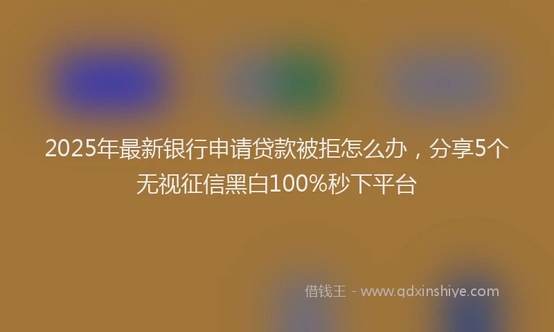 2025年最新银行申请贷款被拒怎么办，分享5个无视征信黑白100%秒下平台