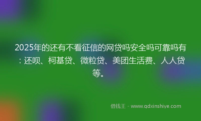 2025年的还有不看征信的网贷吗安全吗可靠吗有：还呗、柯基贷、微粒贷、美团生活费、人人贷等。