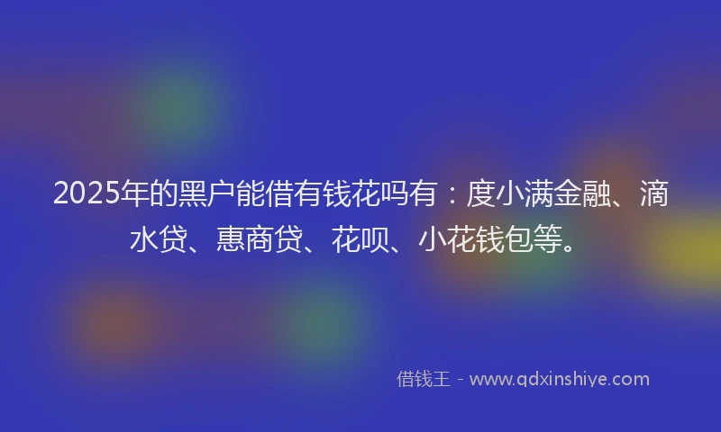 2025年的黑户能借有钱花吗有：度小满金融、滴水贷、惠商贷、花呗、小花钱包等。
