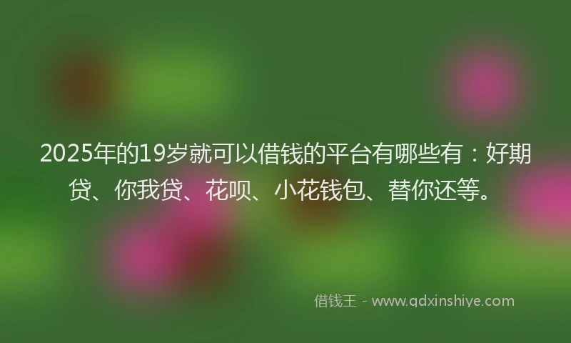 2025年的19岁就可以借钱的平台有哪些有：好期贷、你我贷、花呗、小花钱包、替你还等。